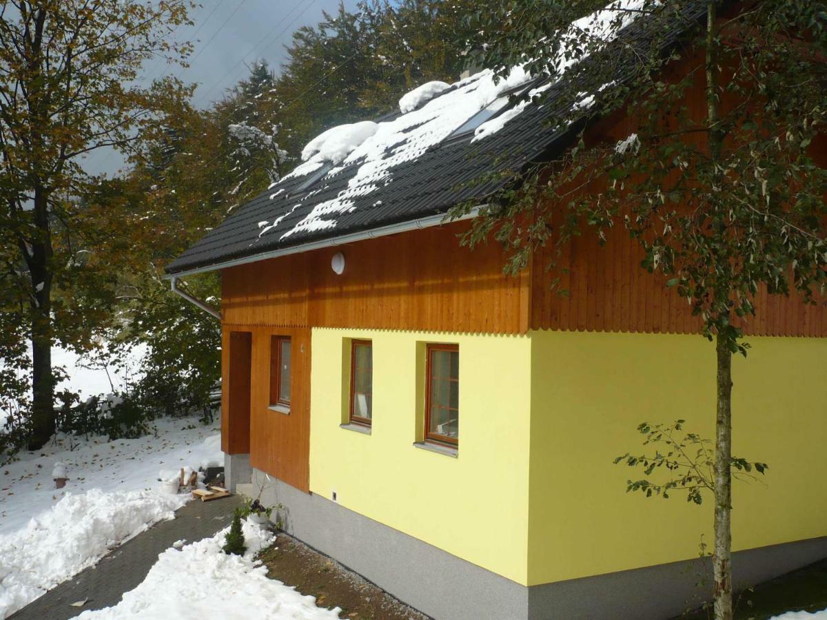 Chata Koutik Loučná nad Desnou エクステリア 写真